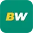 BetWinner အမှတ်တံဆိပ်